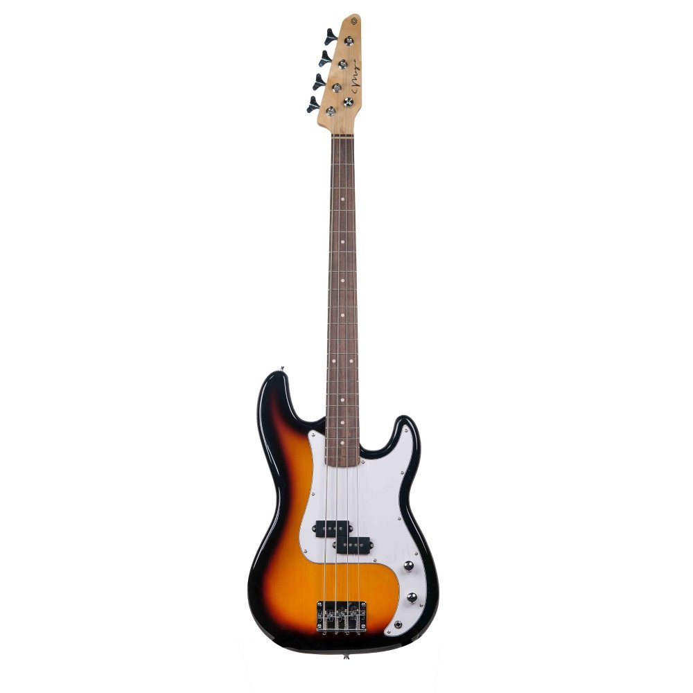 Bass Gitar